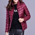 Jaqueta Puffer Feminina Daisy - Frete Grátis - TechnoLoja